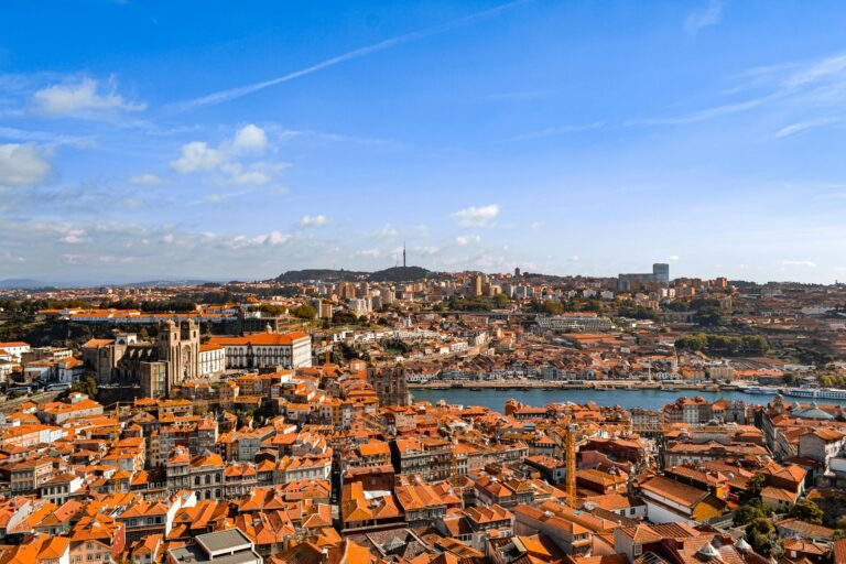 Requerimento de Asilo e Proteção Internacional em Portugal: Direitos e Procedimentos